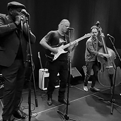 The Virtual Blues Club